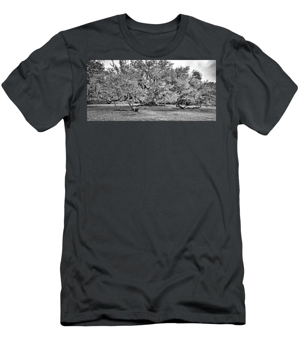 New Orleans T-Shirt featuring the photograph Tree of Life 2 - Paint bw by Steve Harrington