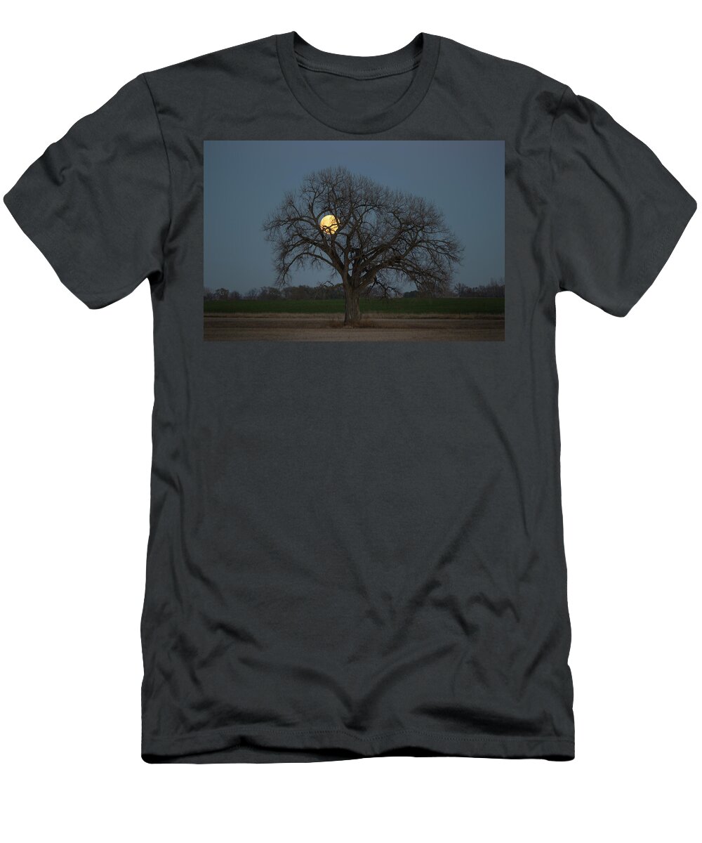 Sky T-Shirt featuring the photograph Tree of Supermoon by Aaron J Groen