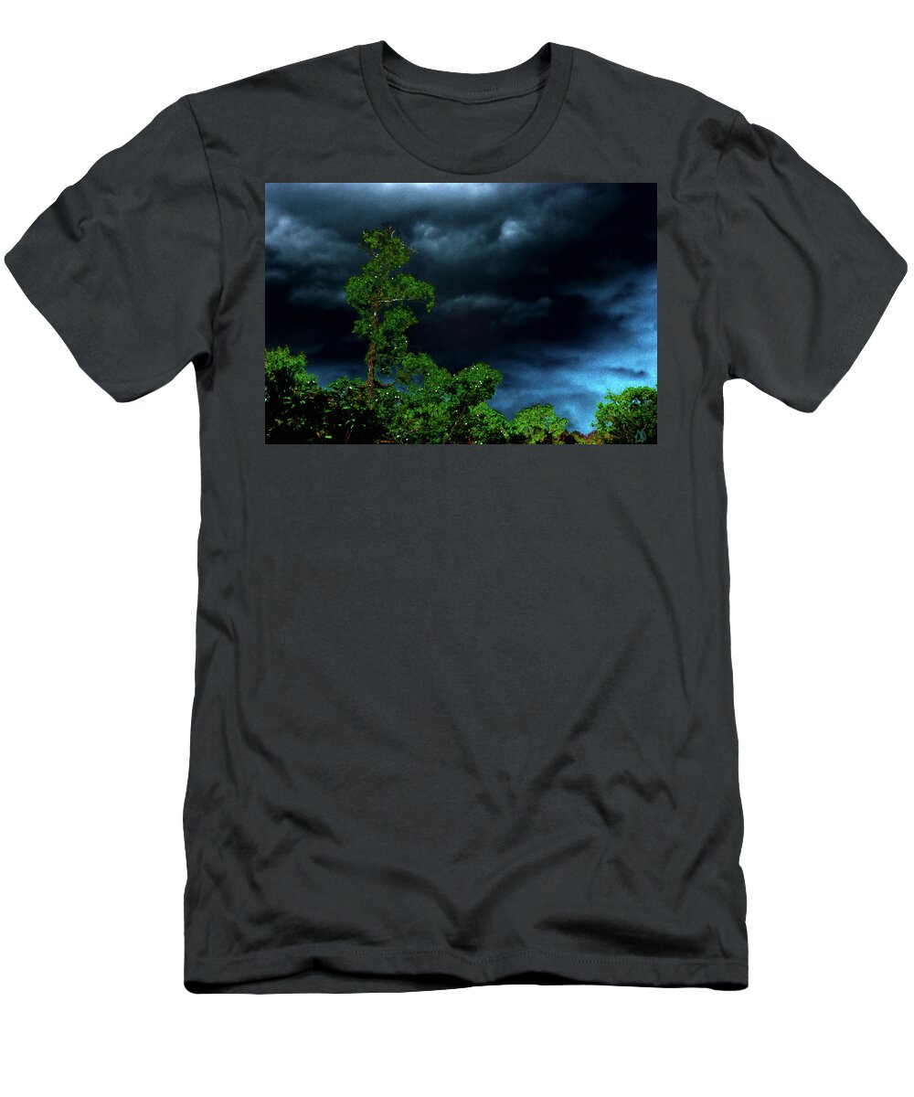 Storm Clouds T-Shirt featuring the photograph Trees and Storm Clouds in HDR by Gina O'Brien