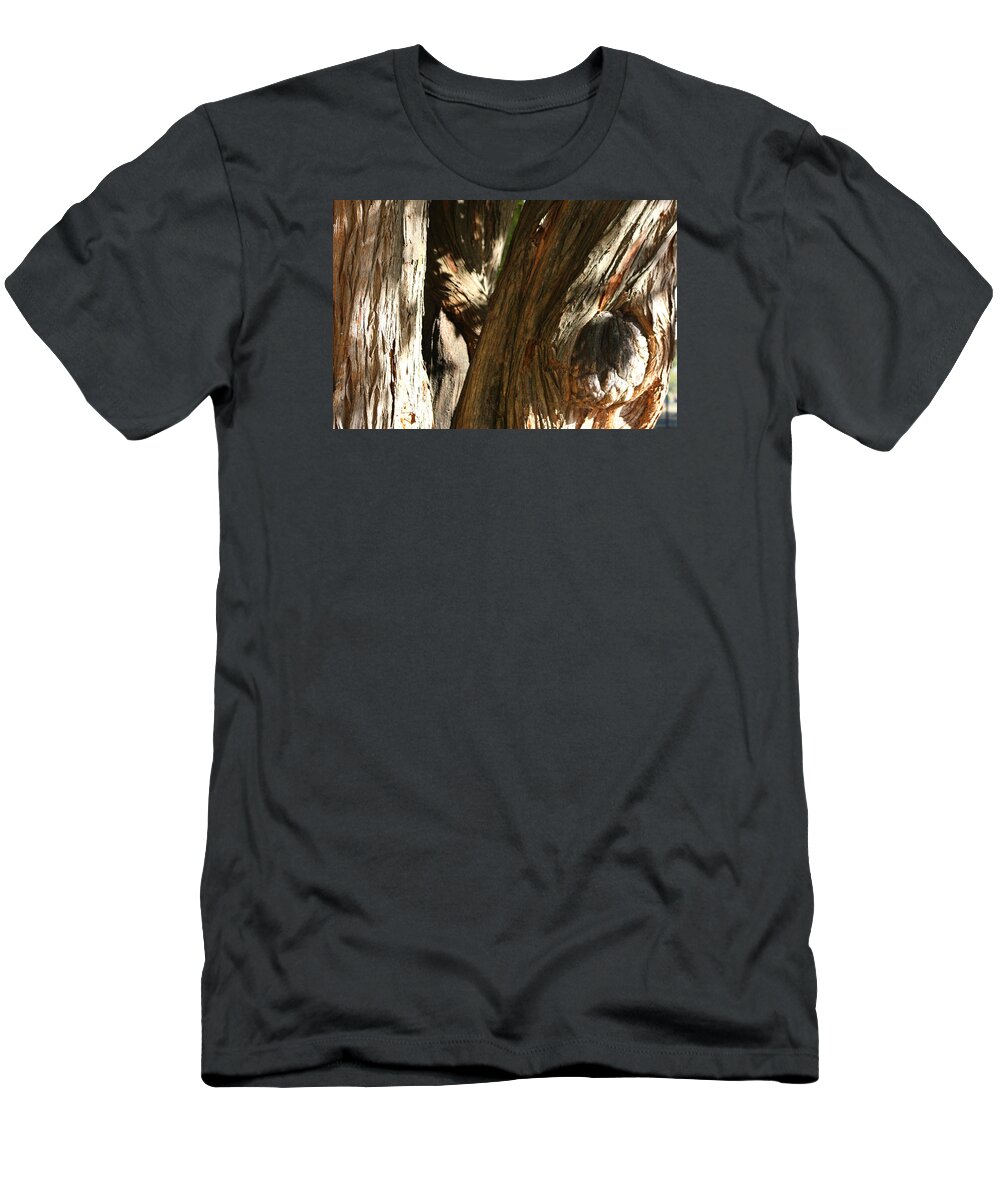Trees T-Shirt featuring the photograph Trees Trunks by Michele Wilson