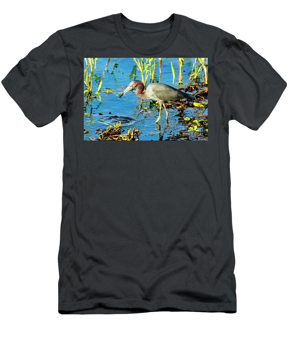 Little Blue Heron T-Shirt featuring the photograph Little Blue Heron at Myakka by Ben Graham