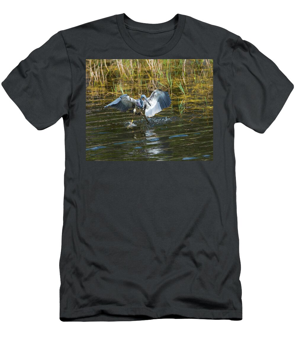 Tri-colored Heron T-Shirt featuring the photograph Tricolored Heron Dinner and Dancing by Artful Imagery