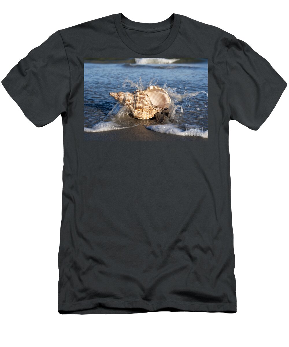 Shell T-Shirt featuring the photograph Triton shell by Anthony Totah
