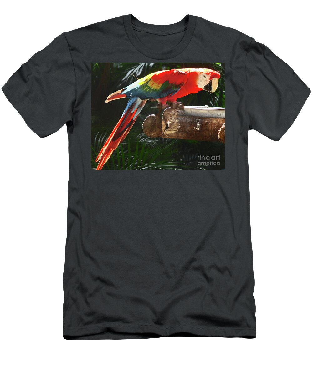 Bird T-Shirt featuring the photograph Tropical Bird 6 by Randall Weidner