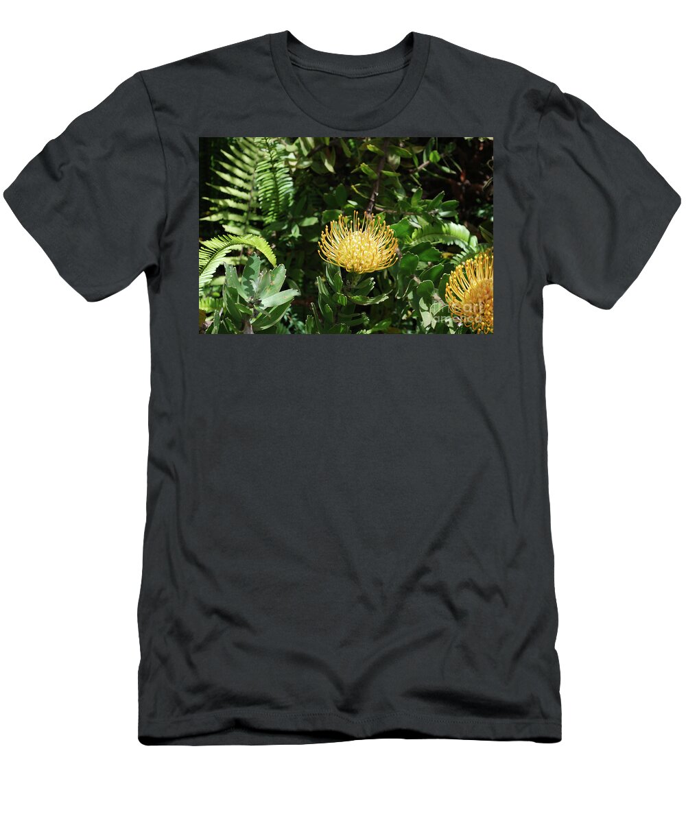 Protea T-Shirt featuring the photograph Tropical yellow protea flower in a garden by DejaVu Designs