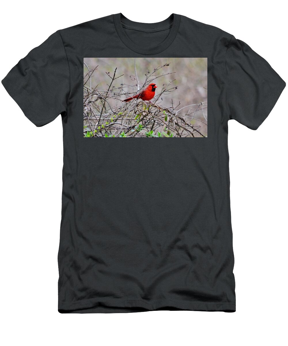 Cardinal T-Shirt featuring the photograph Troy by Eileen Brymer