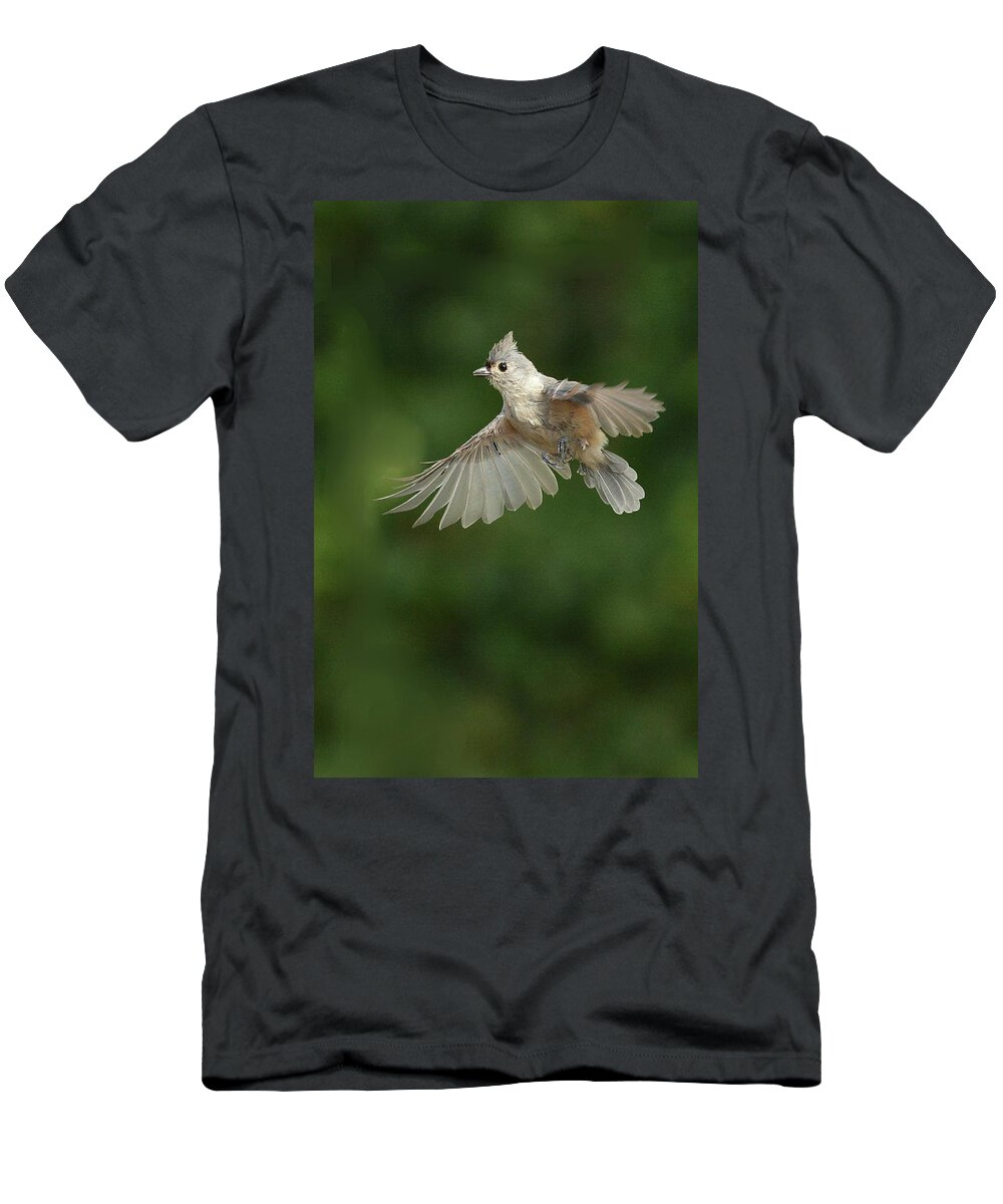 Bird T-Shirt featuring the photograph Tufted Titmouse in Flight 2 by Alan Lenk