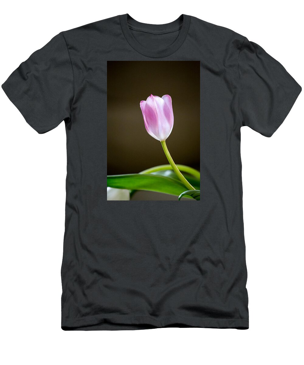 Tulip T-Shirt featuring the photograph Tulip by Charles Hite