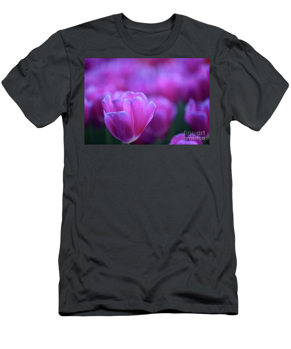 Tulips T-Shirt featuring the photograph Tulips #693 by Carien Schippers