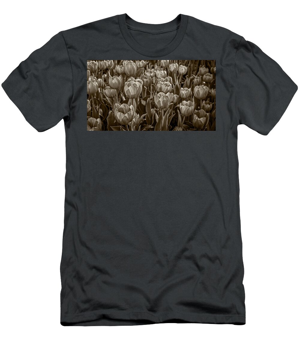 Flower T-Shirt featuring the photograph Tulip Garden by Phil Cardamone