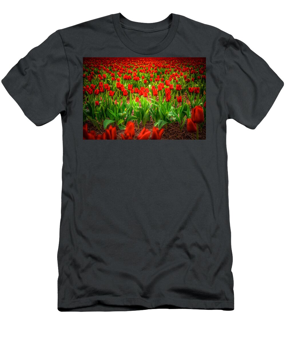 Tulips T-Shirt featuring the photograph Tulips of Passon by Spencer McDonald