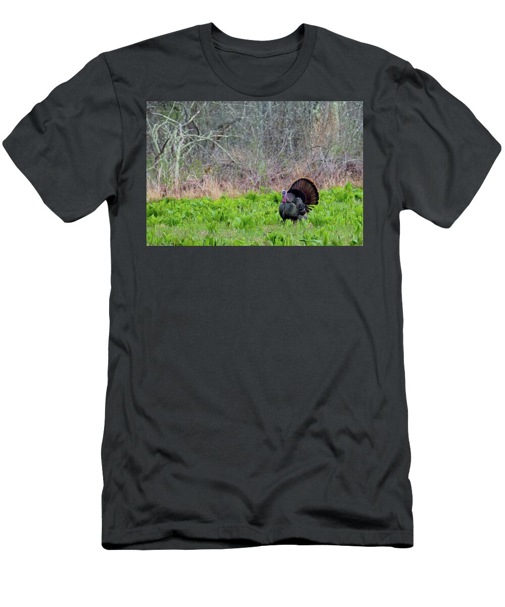 Turkey T-Shirt featuring the photograph Turkey and Cabbage by Bill Wakeley