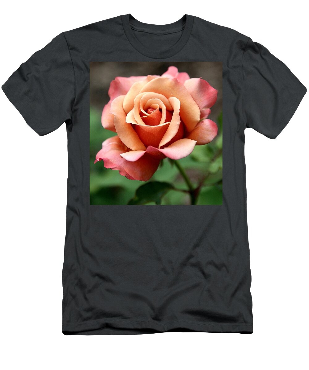 Roses T-Shirt featuring the photograph Tuscan Sun by Gina Fitzhugh