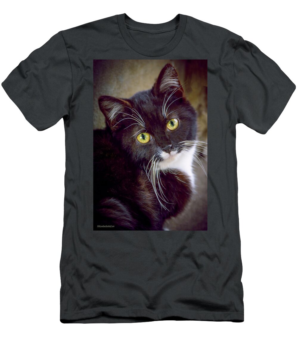 Watch T-Shirt featuring the photograph Tuxedo Kitten by LeeAnn McLaneGoetz McLaneGoetzStudioLLCcom