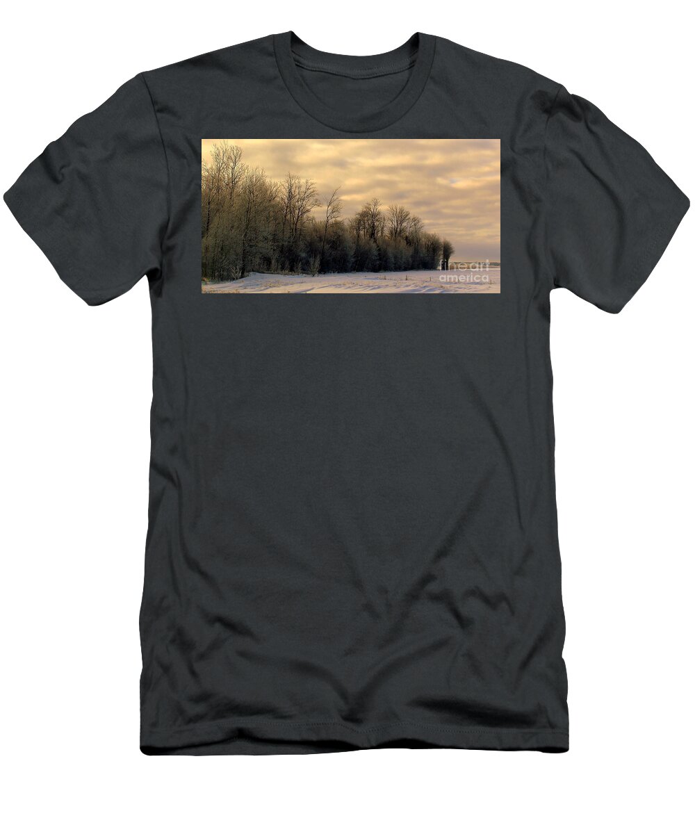Golden Sky T-Shirt featuring the photograph Twilight by Elfriede Fulda