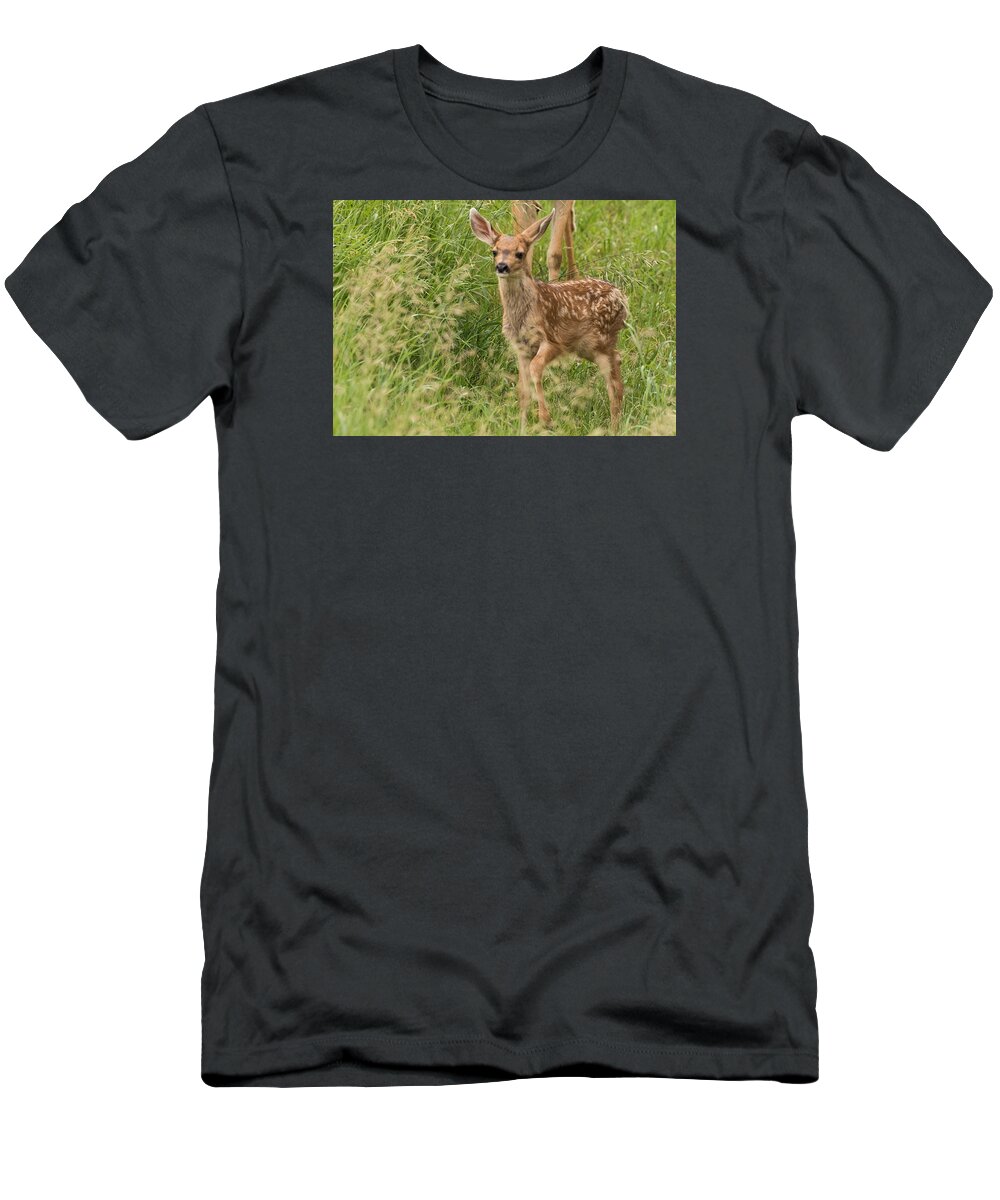 Mule Deer Fawn T-Shirt featuring the photograph Twilight Fawn #3 by Mindy Musick King