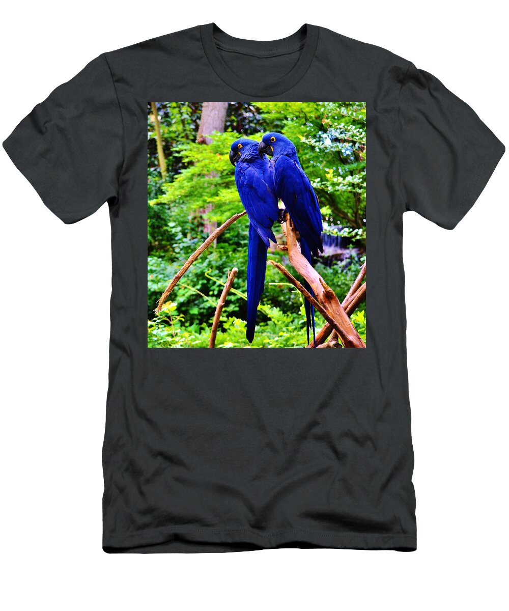 Blue T-Shirt featuring the photograph Two Birds of a Feather by Eileen Brymer