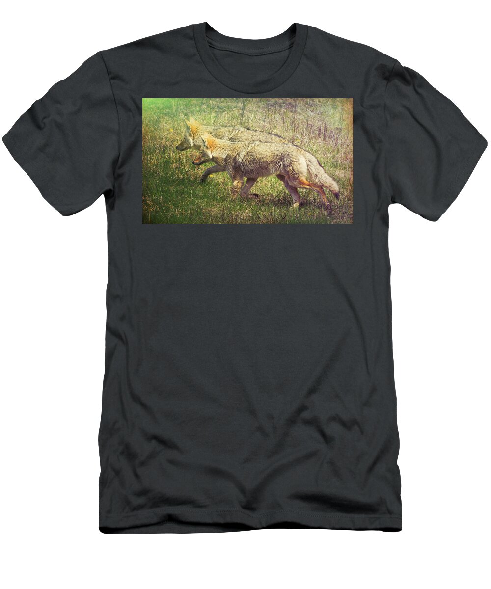 Animal T-Shirt featuring the photograph Two Coyotes by Natalie Rotman Cote