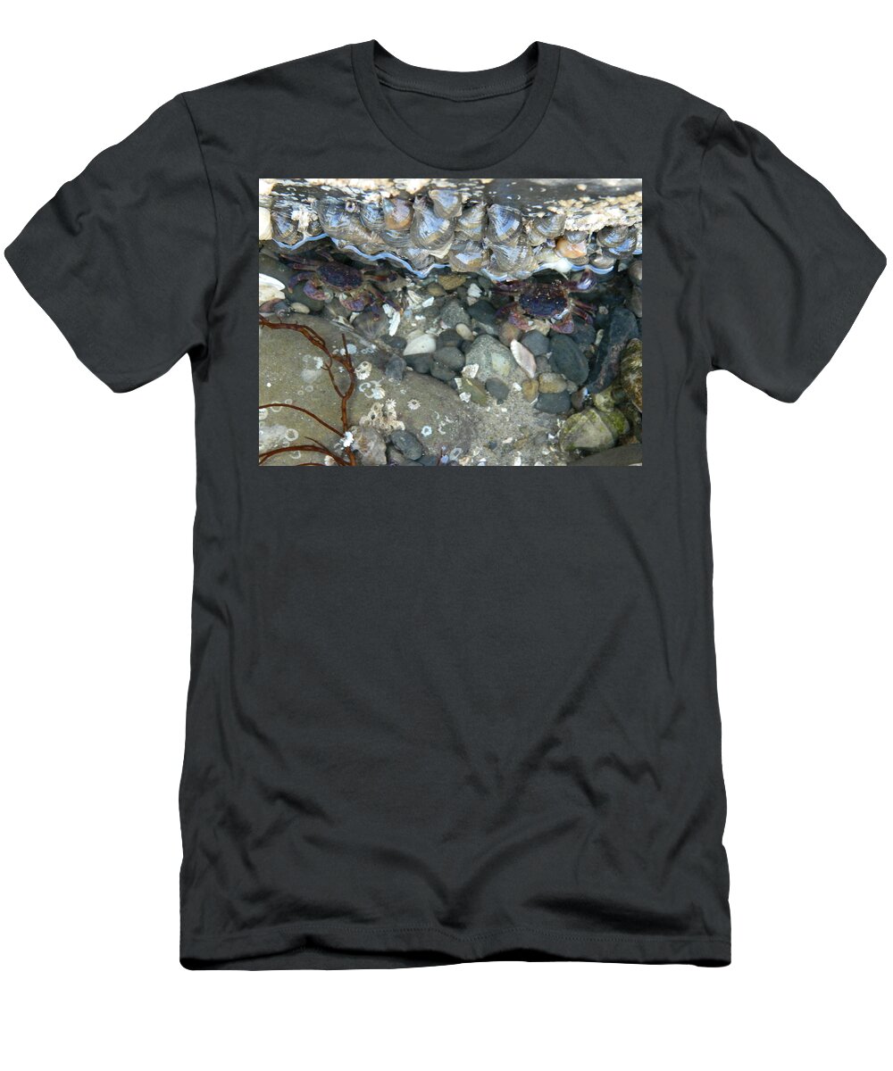 Crabs T-Shirt featuring the photograph Two Little Crabs by Gallery Of Hope 