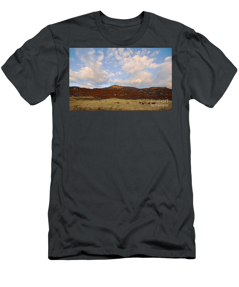 Mule Deer T-Shirt featuring the photograph Under the Colorado Sky by Bon and Jim Fillpot