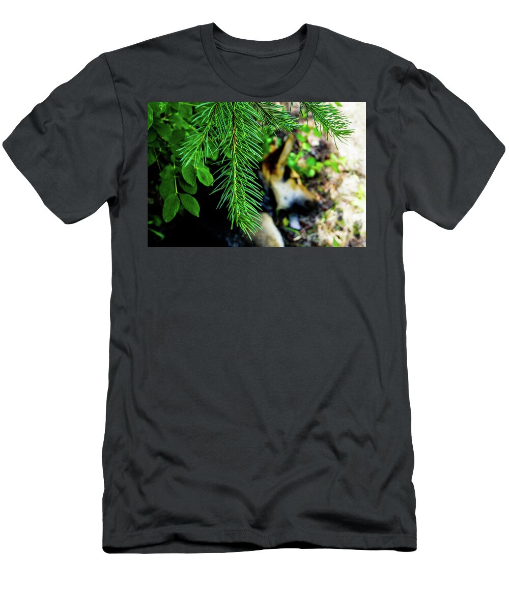Pine T-Shirt featuring the photograph Under the Evergreen by Tim Dussault