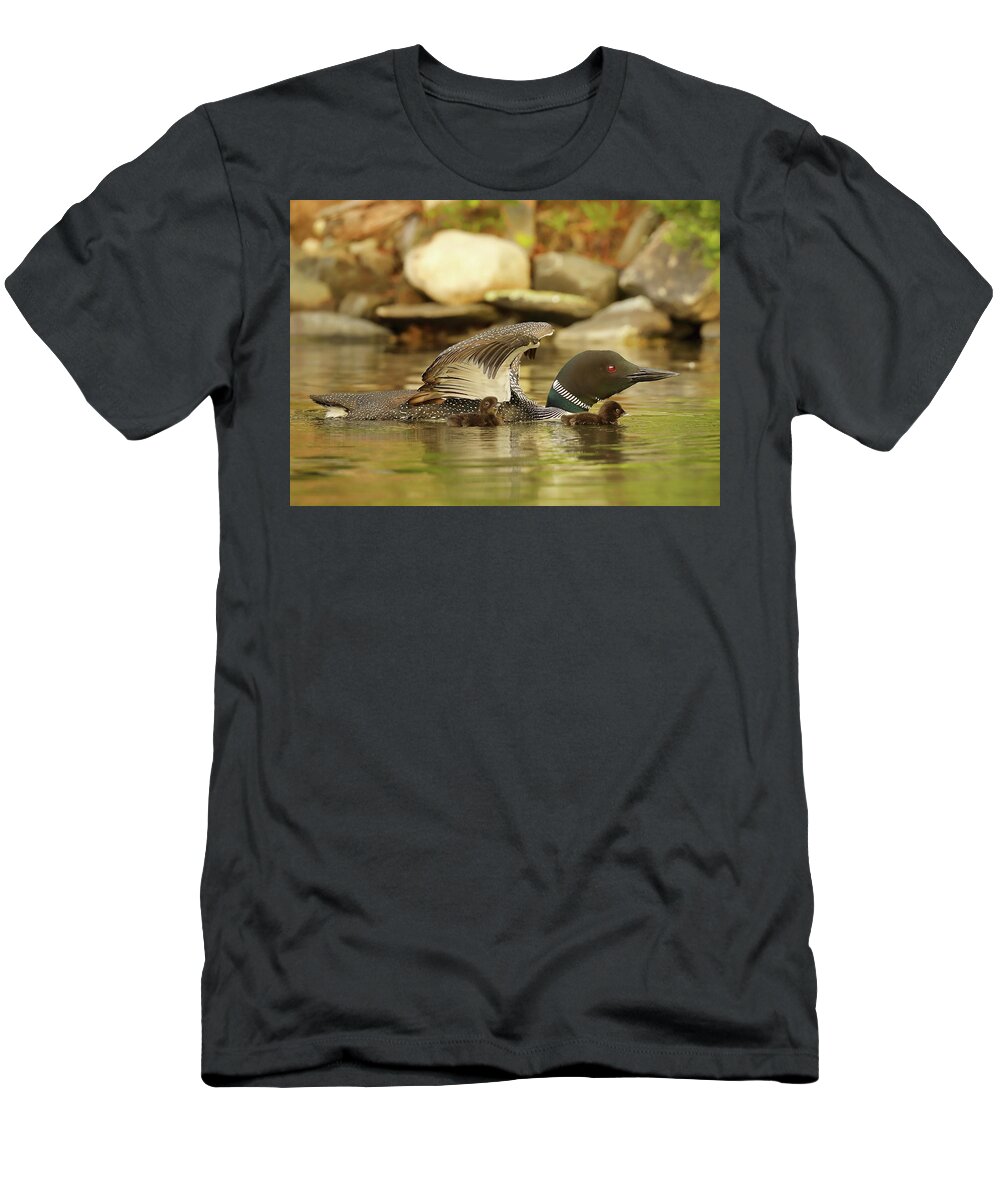 Loon T-Shirt featuring the photograph Under the Wing by Duane Cross