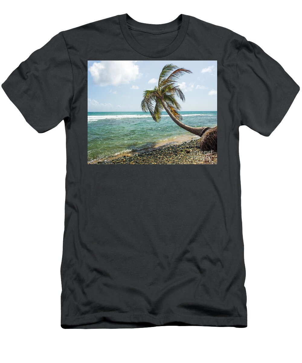 Coconut Tree T-Shirt featuring the photograph Uprooted 2 by Cheryl Del Toro