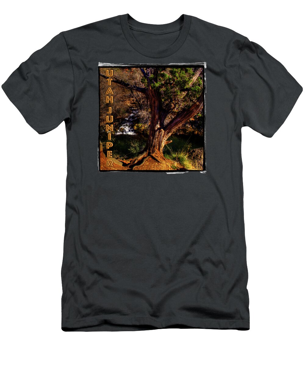 Arizona T-Shirt featuring the photograph Utah Juniper on Oak Creek outside Sedona AZ by Roger Passman