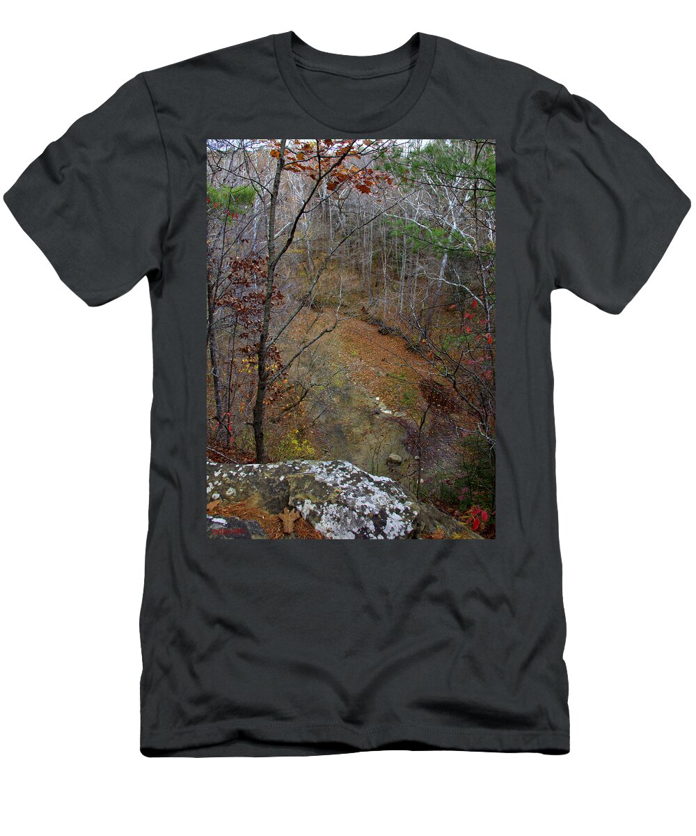 Valley View T-Shirt featuring the photograph Valley View by Edward Smith