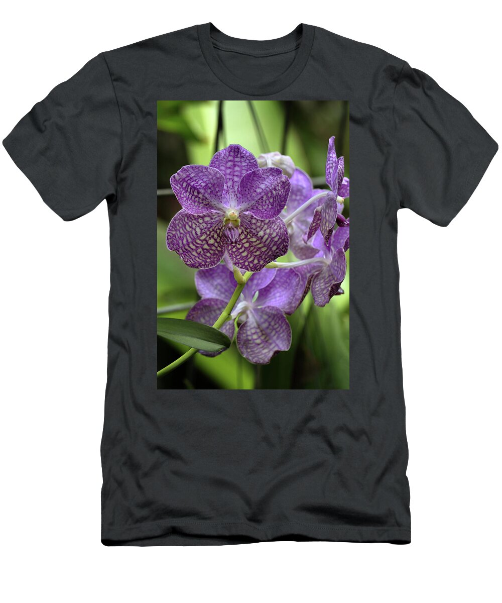 Orchid T-Shirt featuring the photograph Vanda Orchid by Susan Rissi Tregoning