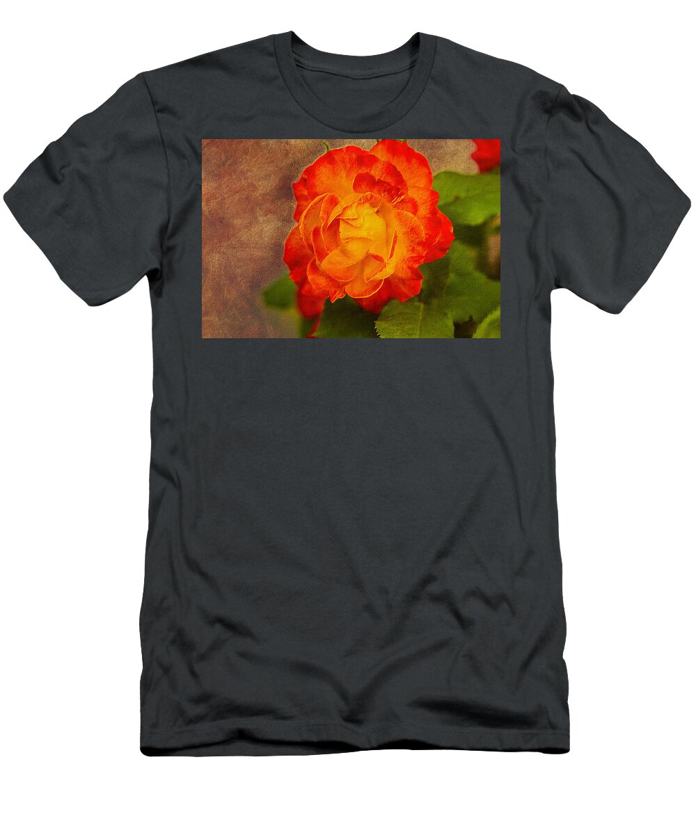 Variegated T-Shirt featuring the photograph Variegated Beauty - Rose Floral by Barry Jones