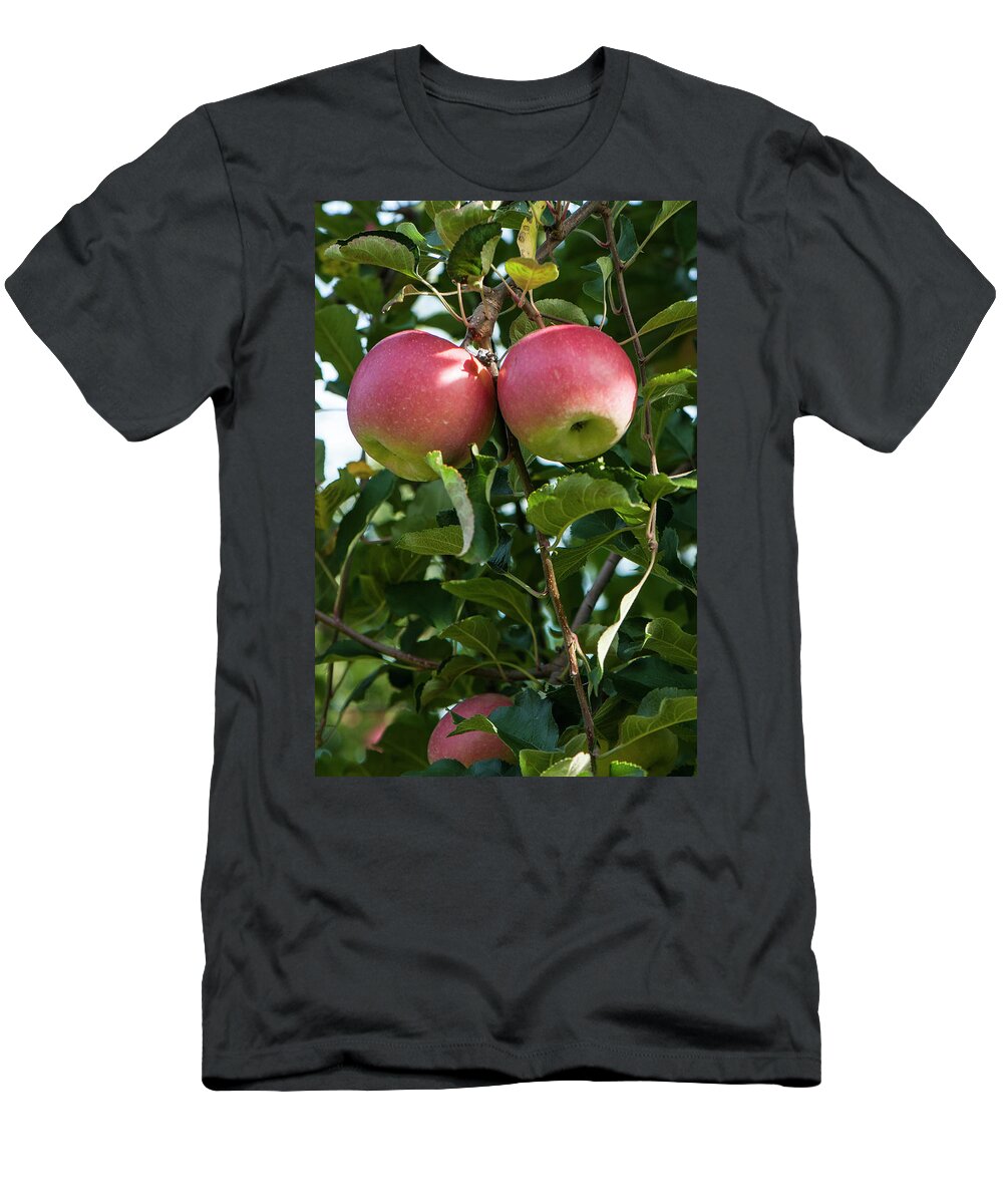 Apple Orchard T-Shirt featuring the photograph Vertical Twin Apples by Brian Green