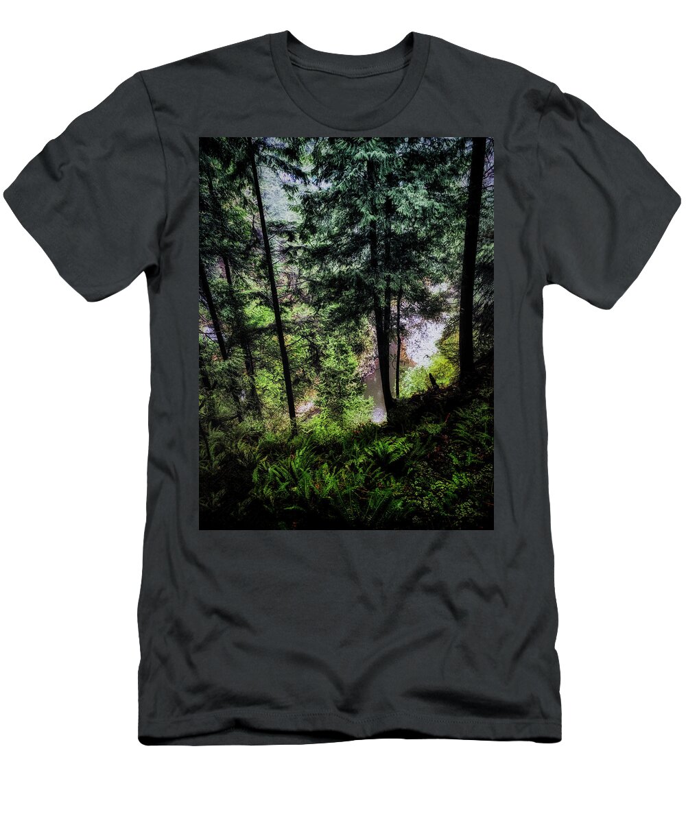 Nature T-Shirt featuring the photograph View Downhill by Joseph Hollingsworth