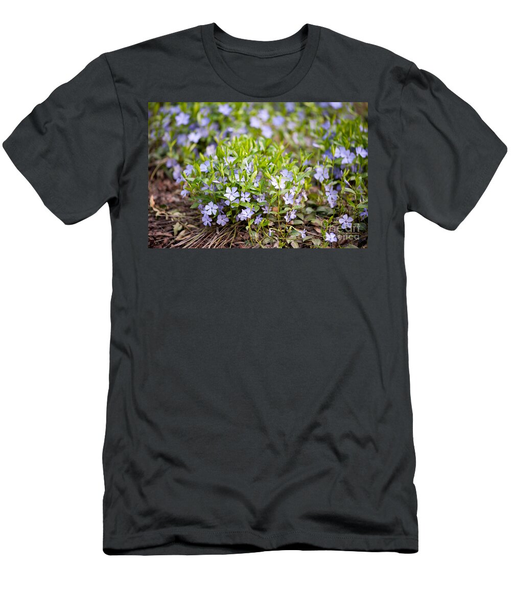 Periwinkle T-Shirt featuring the photograph Vinca violet purple clump by Arletta Cwalina
