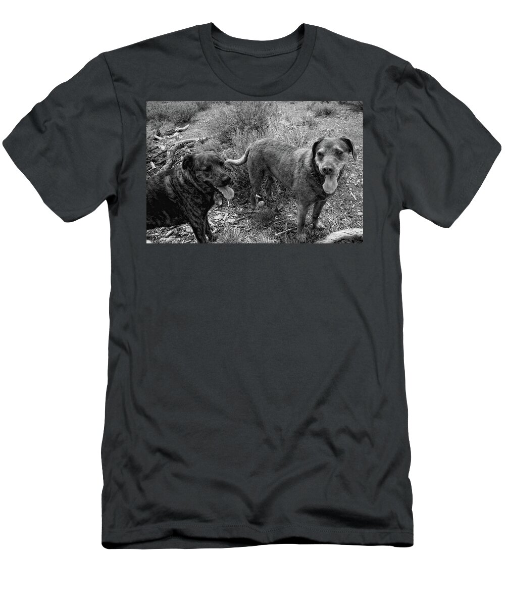 Dogs T-Shirt featuring the photograph Wagging Tongues by Donna Blackhall