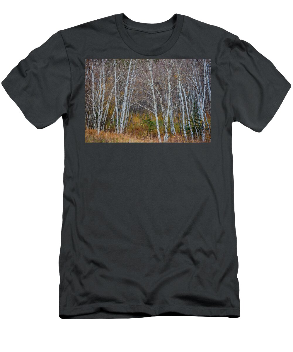 Forest T-Shirt featuring the photograph Walk In The Woods by James BO Insogna
