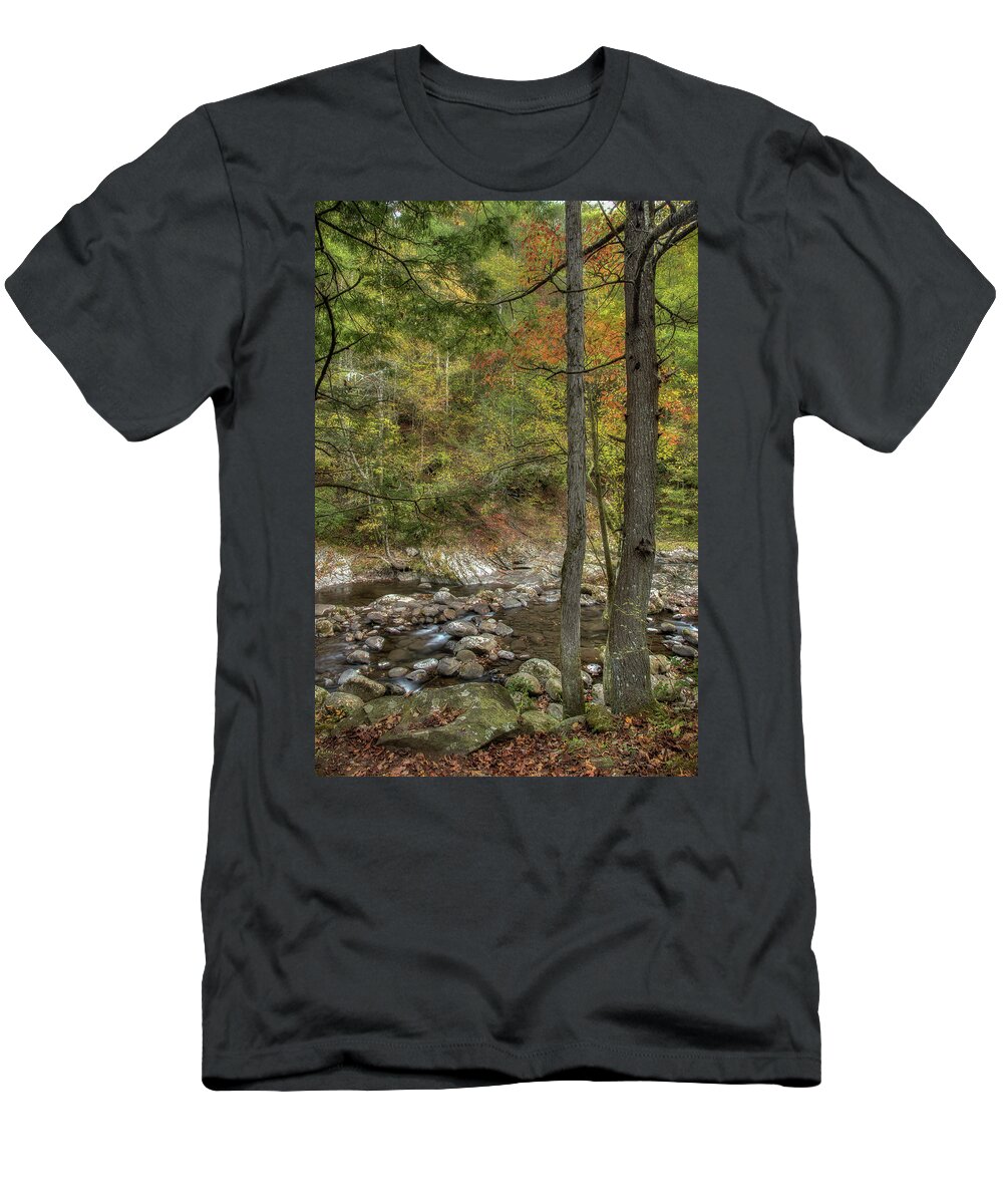Stream T-Shirt featuring the photograph Walking Along The Edge by Mike Eingle