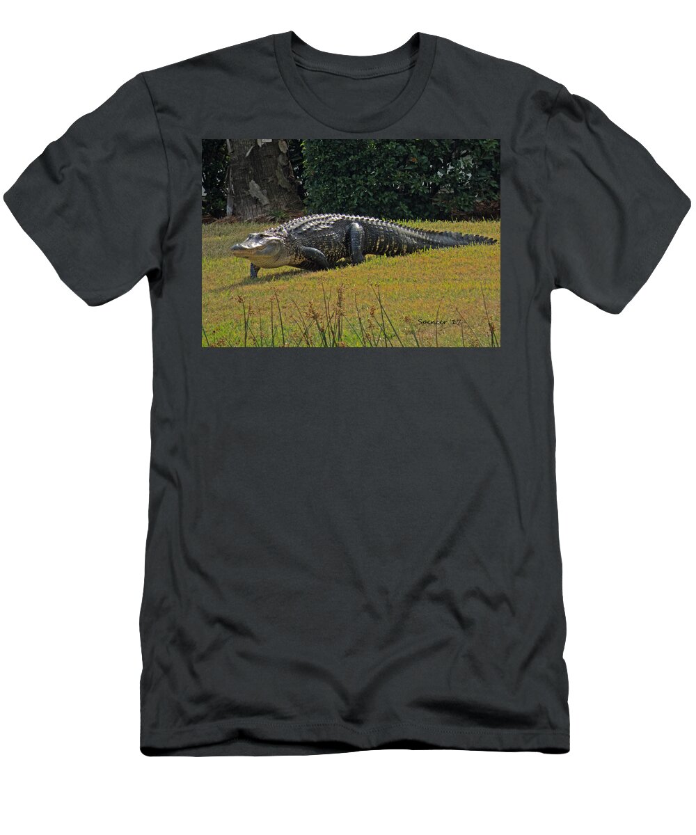 Alligator T-Shirt featuring the photograph Walking Appetite by T Guy Spencer