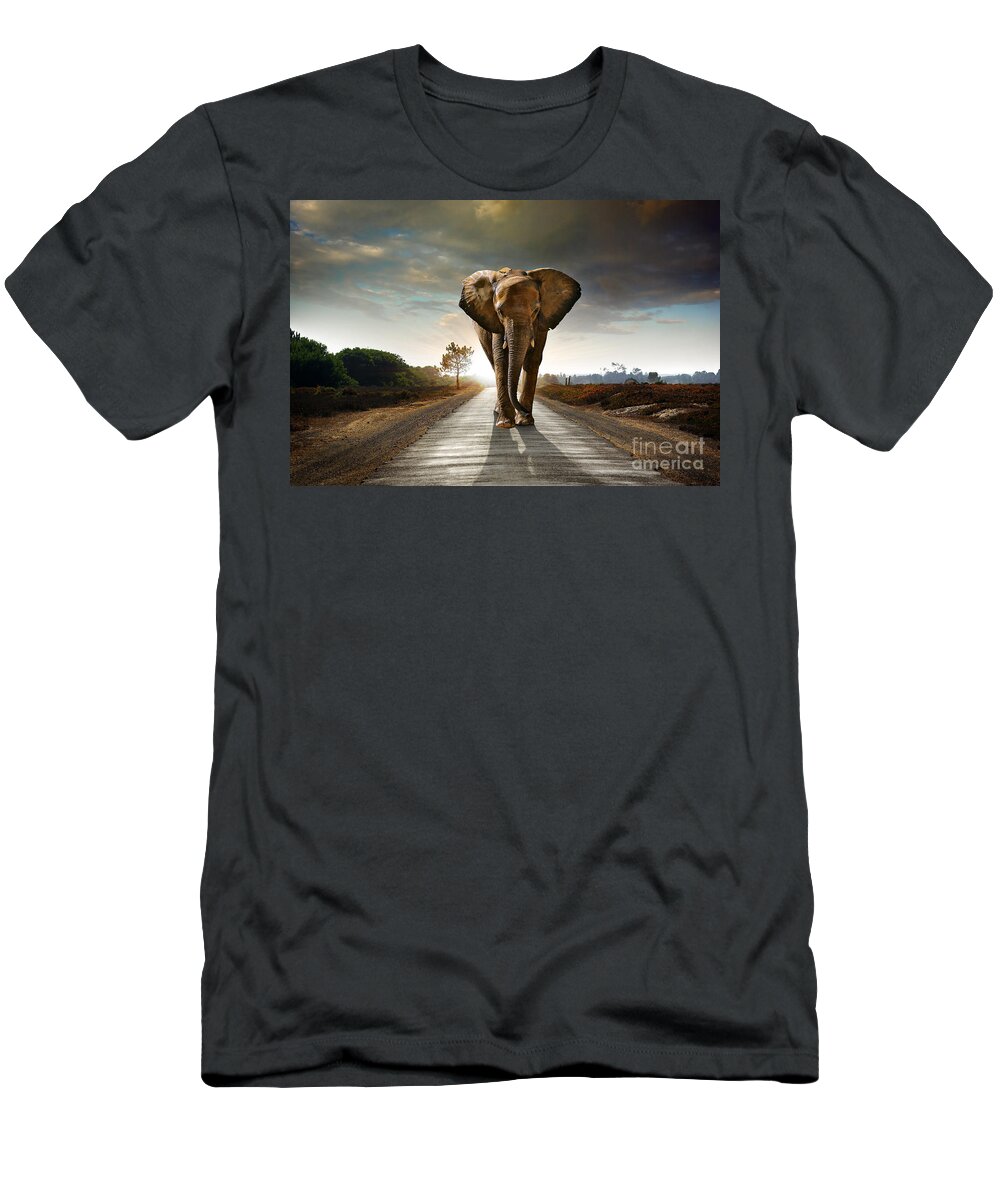 African T-Shirt featuring the photograph Walking Elephant by Carlos Caetano