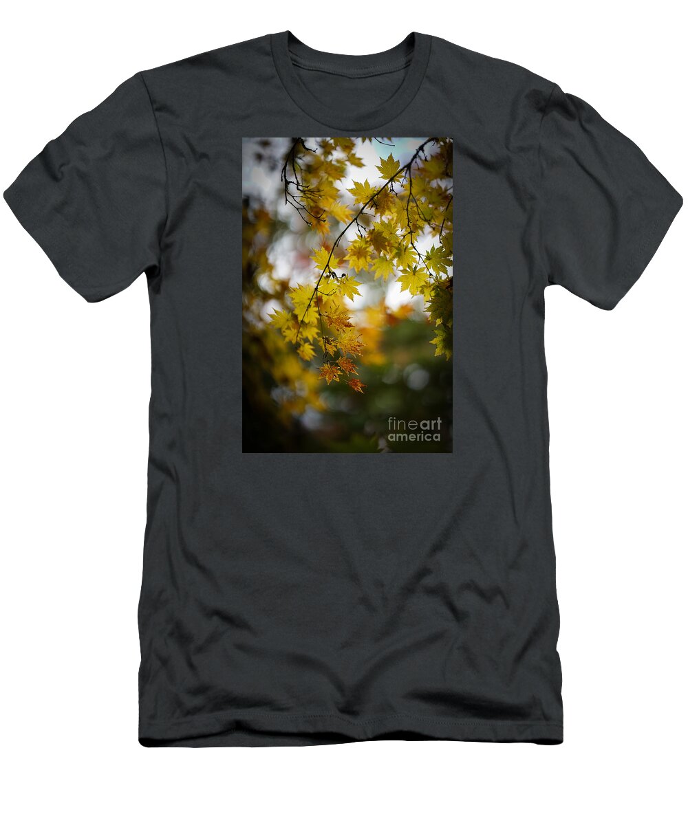 Leaves T-Shirt featuring the photograph Walks in the Autumn Garden by Mike Reid