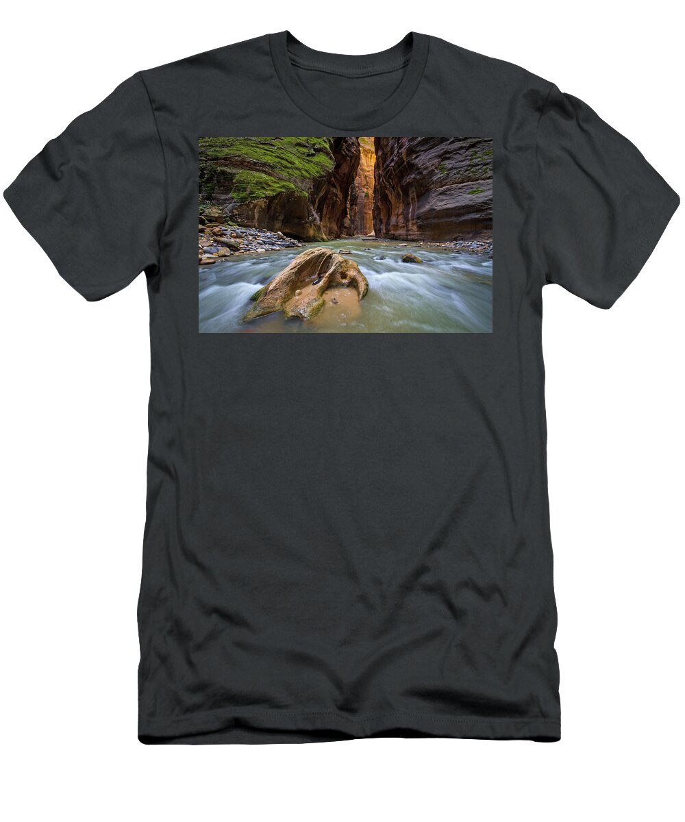 Zion T-Shirt featuring the photograph Wall Street of the Narrows by Wesley Aston