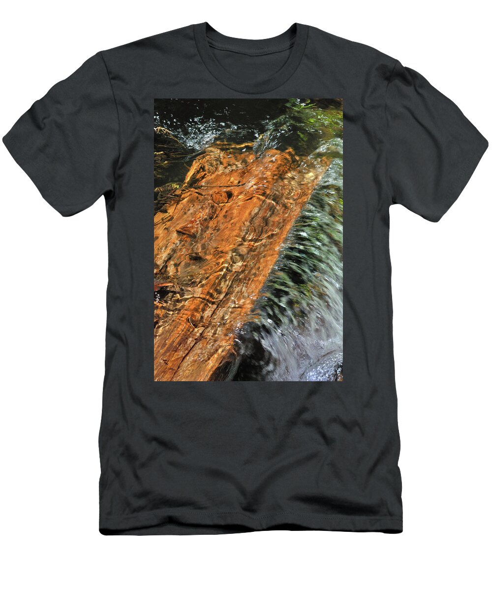 Nature T-Shirt featuring the photograph Water And Wood by Ron Cline