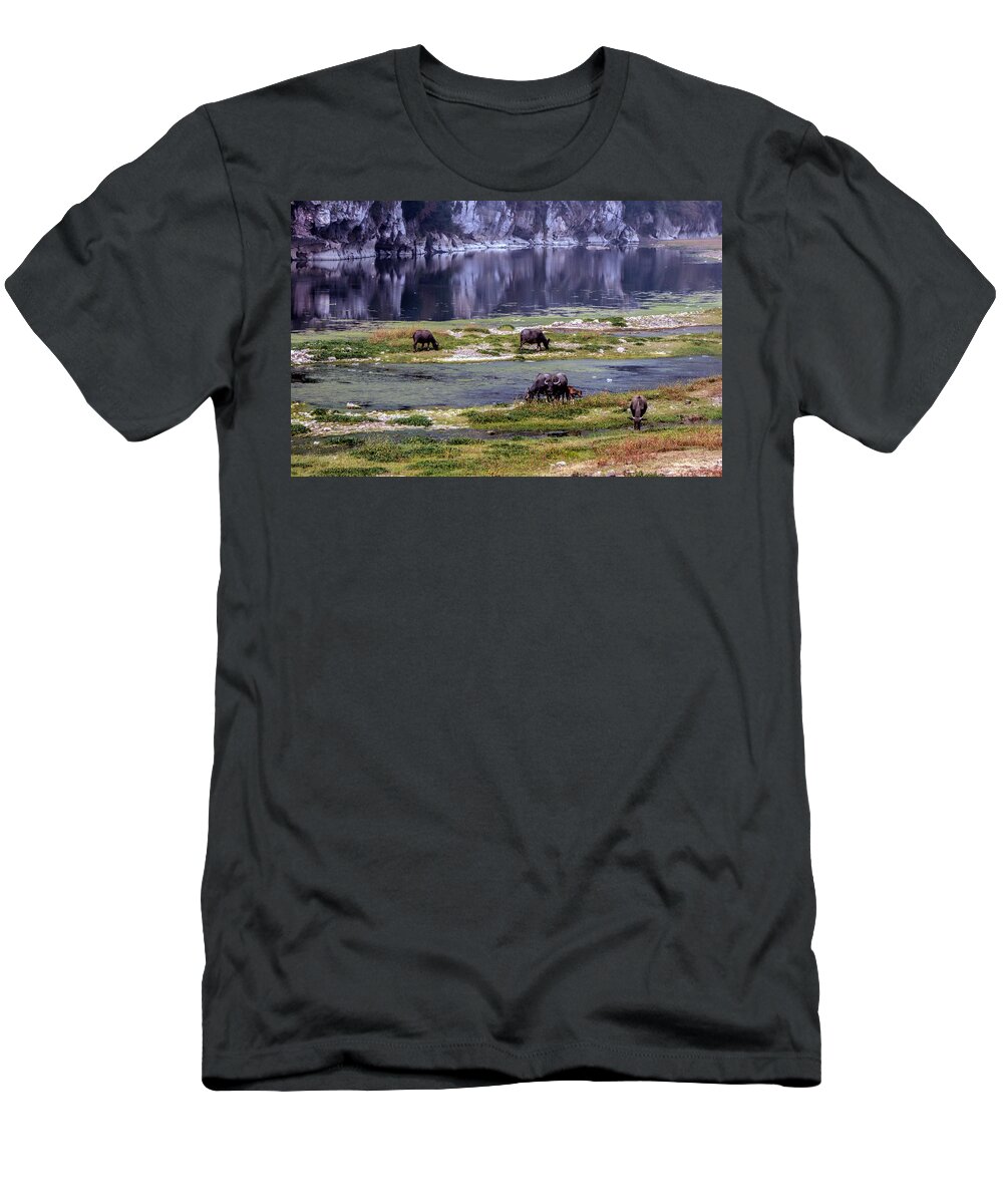 Water Buffalo T-Shirt featuring the photograph Water Buffalo on the Li River China by Lynn Bolt