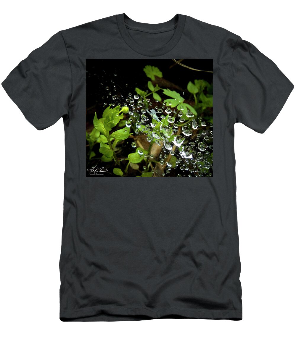 Leaves T-Shirt featuring the photograph Water Droplets on a Spider's Web by Phil And Karen Rispin