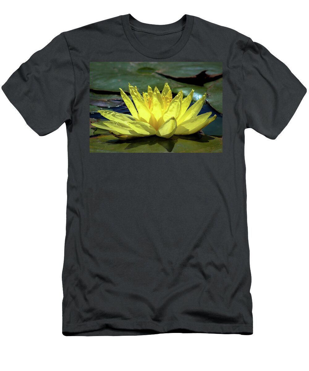Waterlily T-Shirt featuring the photograph Water Lily by Alison Frank