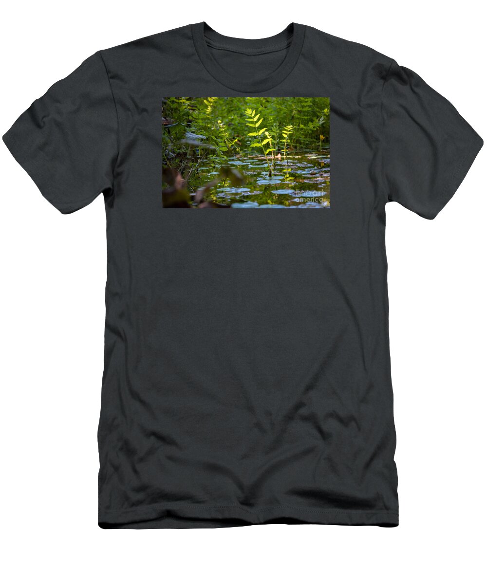 Plants T-Shirt featuring the photograph Water plants by Mariusz Talarek