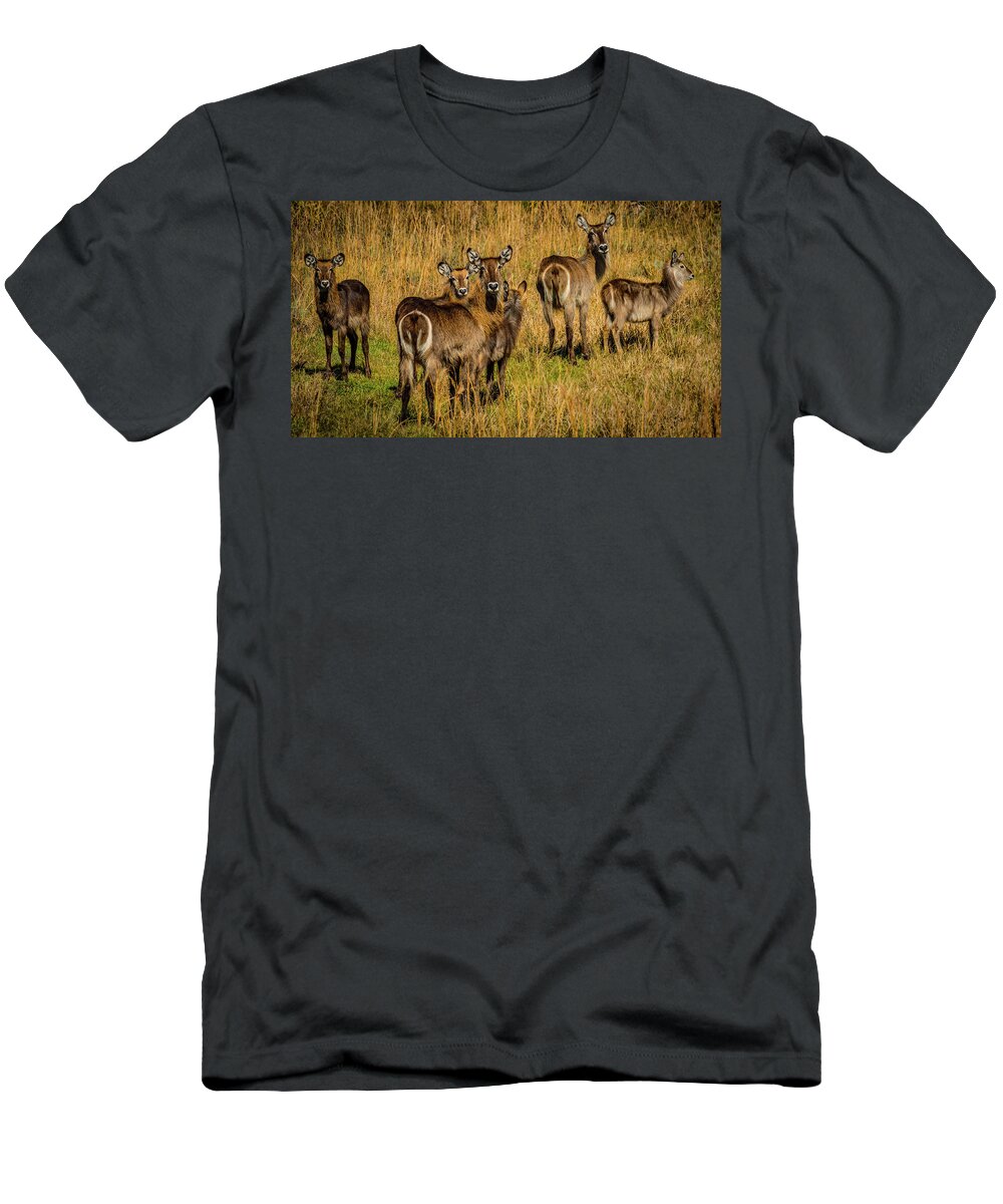 Okeechobee T-Shirt featuring the photograph Waterbuck Group by Richard Goldman