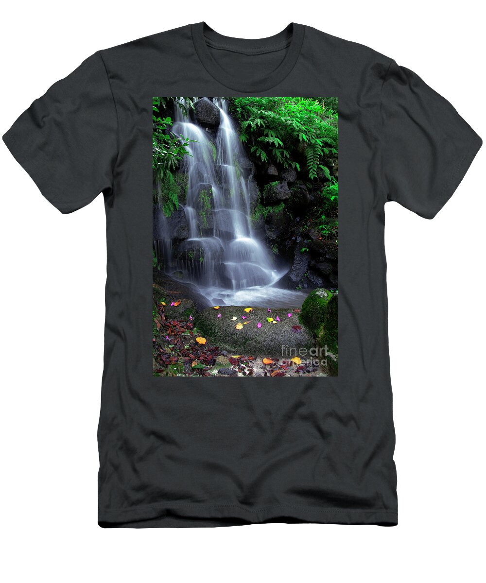 Autumn T-Shirt featuring the photograph Waterfall by Carlos Caetano