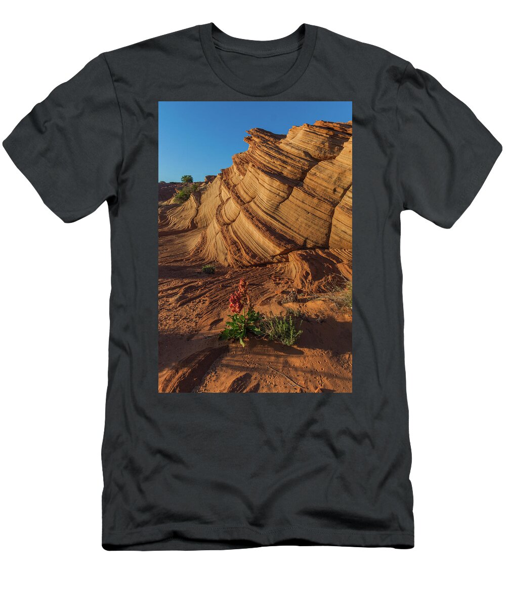 Waterhole Canyon T-Shirt featuring the photograph Waterhole Canyon Evening Solitude by Lon Dittrick