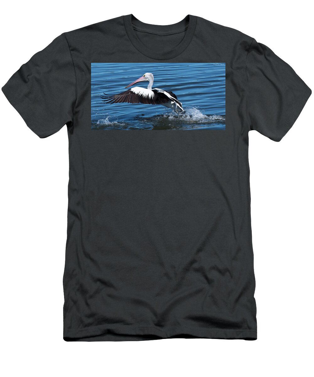Pelicans T-Shirt featuring the photograph We have lift off 01 by Kevin Chippindall